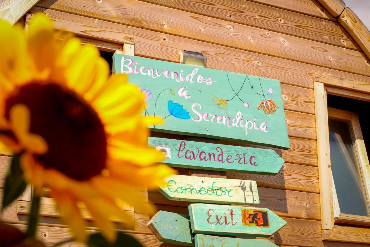 Buzanada Laurisilva Love Spa Sauna Y Piscina מראה חיצוני תמונה